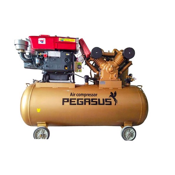 Máy nén khí chạy dầu diesel Pegasus TM-W-1.0/8-330L 