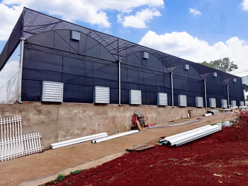 Quạt hút công nghiệp 800x800 Wing TMG 800